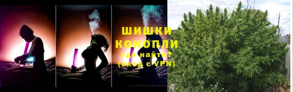 индика Балахна
