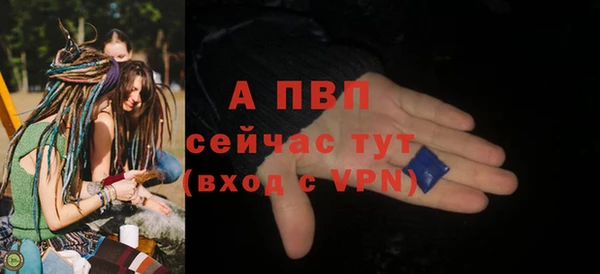 индика Балахна