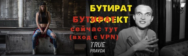 индика Балахна
