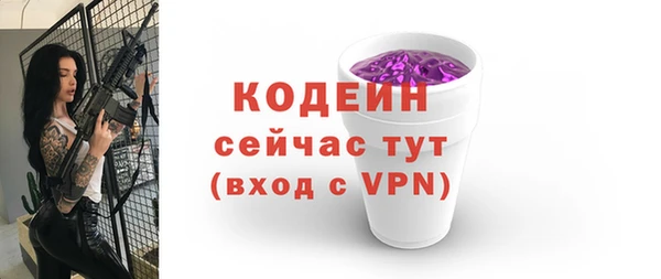 индика Балахна