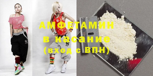 индика Балахна