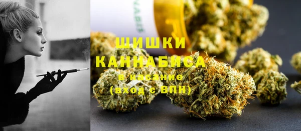 индика Балахна