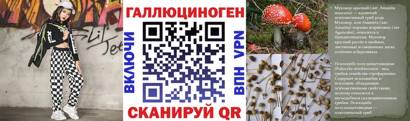 Псилоцибиновые грибы GOLDEN TEACHER  цена наркотик  OMG зеркало  Петушки 